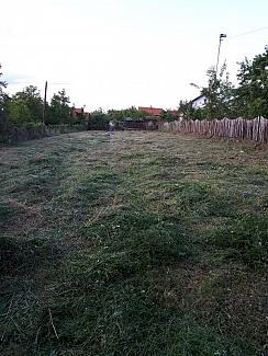 PLAC PINOSAVA 90000e